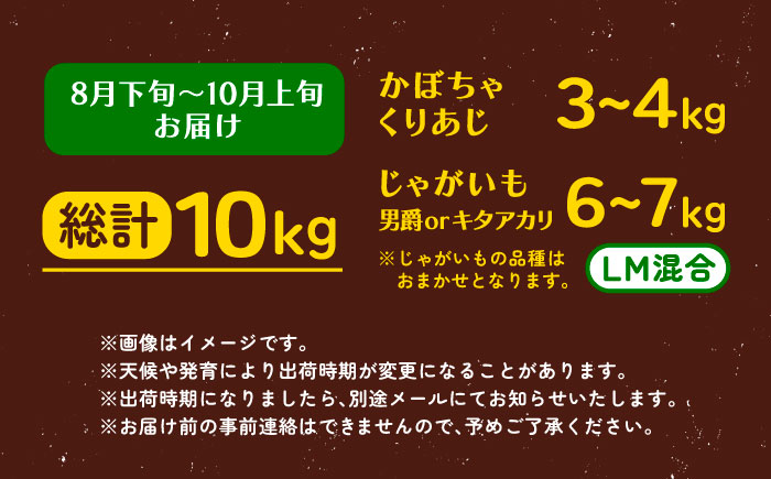 北海道産 じゃがいも＆かぼちゃ 計10kg（じゃがいも6-7kg・かぼちゃ3-4kg）《足寄町》【党崎農場】ジャガイモ じゃがいも 食べ比べ かぼちゃ 野菜 ポテト 芋 イモ いも ハロウィン あしょろ 北海道[BEAA009]