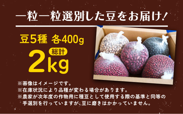 【R7年度産新豆 受付中】北海道 あしょろの豆 5種 計2kg（各400g×各1袋）《足寄町》【党崎農場】[BEAA011]