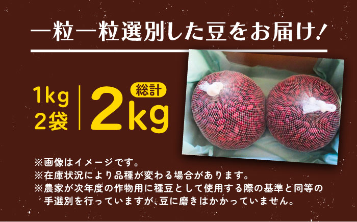 北海道 あしょろの大正金時 1kg×2袋《足寄町》【党崎農場】豆[BEAA018]