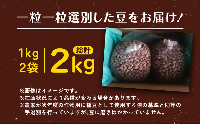 【R7年度産新豆 受付中】北海道 あしょろの中長うずら豆 1kg×2袋《足寄町》【党崎農場】[BEAA022]