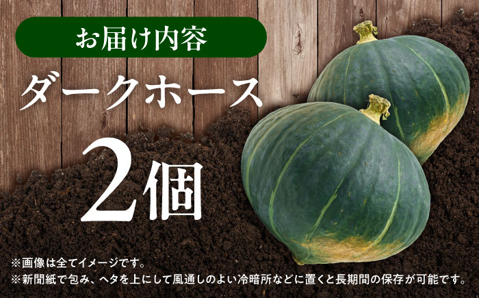 北海道 かぼちゃ ダークホース 2個 《足寄町》【足寄アグリバイオ株式会社】[BEAC009]