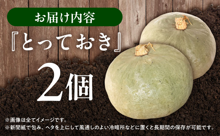 北海道 かぼちゃ とっておき 2個 《足寄町》【足寄アグリバイオ株式会社】 かぼちゃ カボチャ とっておき ハロウィン グラタン スープ 旬 新鮮 北海道産 道産 寒冷地 あしょろ [BEAC010]