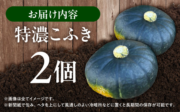 北海道 かぼちゃ 特濃こふき 2個 《足寄町》【足寄アグリバイオ株式会社】 かぼちゃ カボチャ 特濃こふき ハロウィン グラタン スープ 旬 新鮮 北海道産 道産 寒冷地 あしょろ [BEAC011]