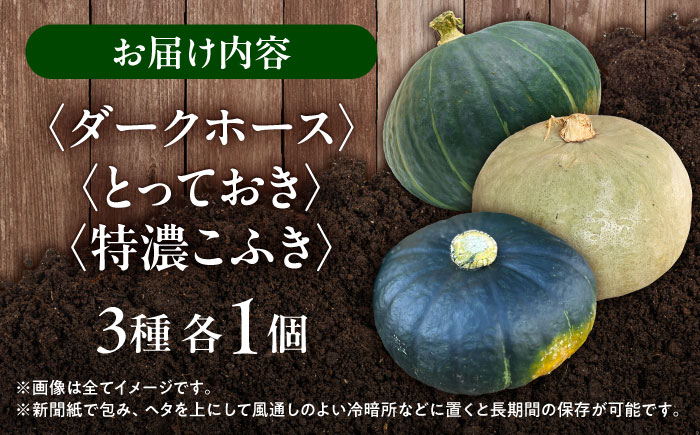 北海道 かぼちゃ ダークホース・とっておき・特濃こふき 3種類×1個 《足寄町》【足寄アグリバイオ株式会社】 [BEAC012]