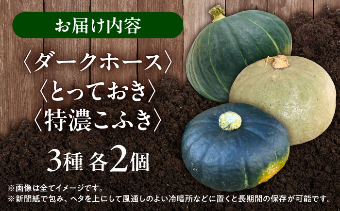 北海道 かぼちゃ ダークホース・とっておき・特濃こふき 3種類×2個 《足寄町》【足寄アグリバイオ株式会社】[BEAC013]