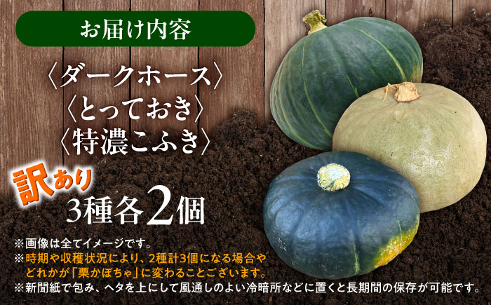 北海道 かぼちゃ 訳あり ダークホース・とっておき・特濃こふき 3種類×2個 《足寄町》【足寄アグリバイオ株式会社】 [BEAC015]