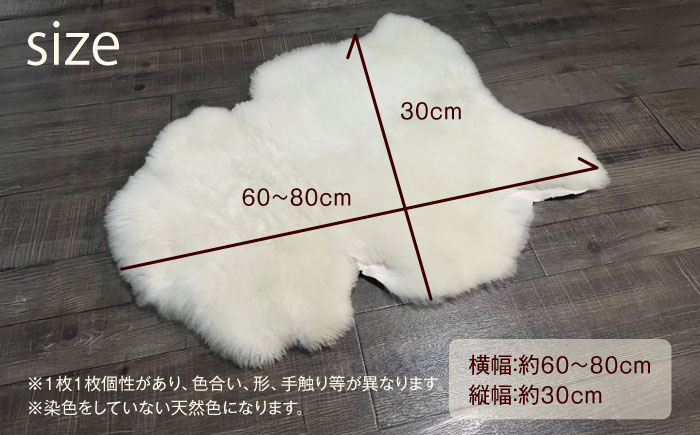 ミルクラム ムートン 約60～80cm《足寄町》【石田めん羊牧場