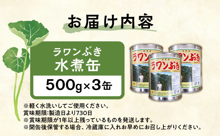 ラワンぶき水煮缶 500g×3缶《足寄町》【NPO法人あしょろ観光協会】 ふき [BEAE010]