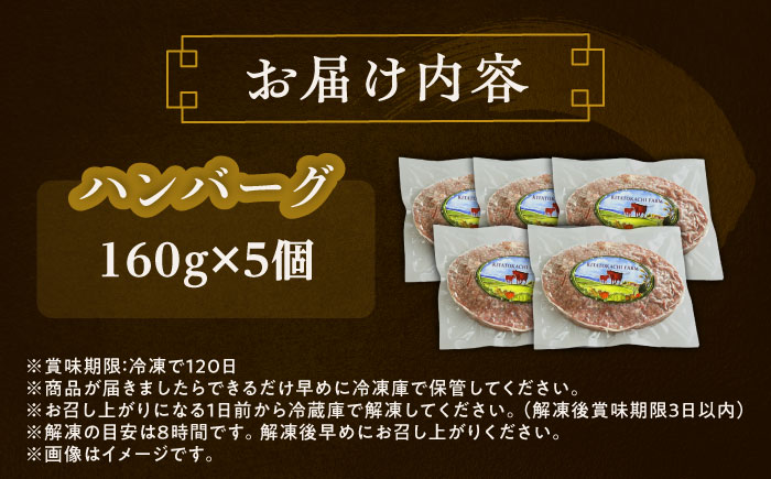 北海道 北十勝 短角牛 ハンバーグ 160g×5《足寄町》【北十勝ファーム有限会社】 [BEAI089] 160g×5パック