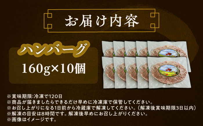 北海道 北十勝 短角牛 ハンバーグ 160g×10《足寄町》【北十勝ファーム有限会社】 [BEAI090] 160g×10パック