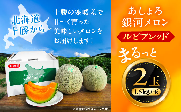 【先行予約】 北海道十勝 あしょろ銀河メロン ルピアレッド 1.5kg×2玉（赤肉）【7月下旬以降発送】《足寄町》【郊南ハウス組合】[BEAO001]
