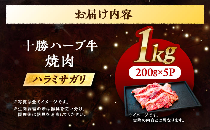 北海道 十勝 ハーブ牛 ハラミ サガリ 焼肉 1kg （200g×5） 《足寄町》【株式会社ノベルズ食品】 [BEAQ026]