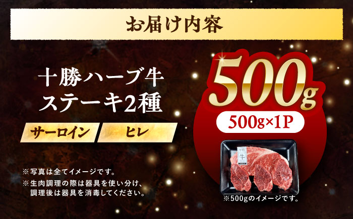 北海道 十勝 ハーブ牛 サーロイン ヒレ ステーキ セット 500g 《足寄町》【株式会社ノベルズ食品】 [BEAQ055] 500g
