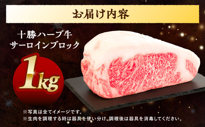 北海道 十勝 ハーブ牛 サーロイン ブロック 約1kg 《足寄町》【株式会社ノベルズ食品】 [BEAQ064]