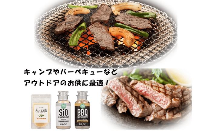 北のささ塩 100g×13袋《足寄町》【株式会社北のささ】 [BEAR002]