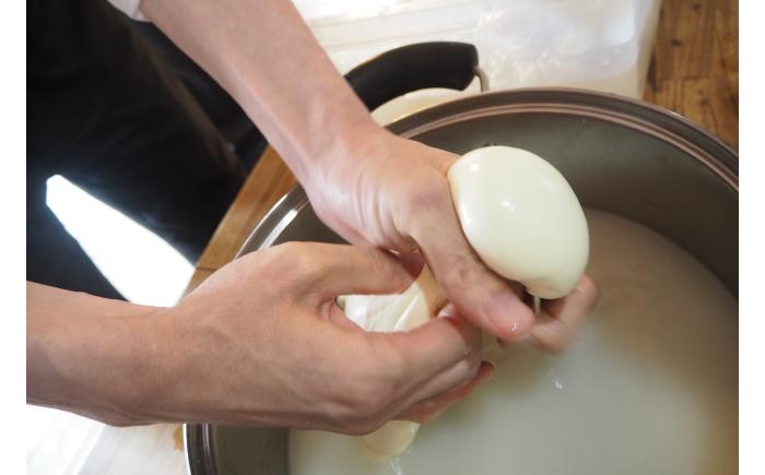 北海道十勝 牧場暮らし・チーズ造り 体験ツアー《足寄町》 【Slow Travel HOKKAIDO】 北海道旅行 体験 チーズ 牧場 見学 ツアー 体験型 旅 旅行 牧場見学 [BEAY001]