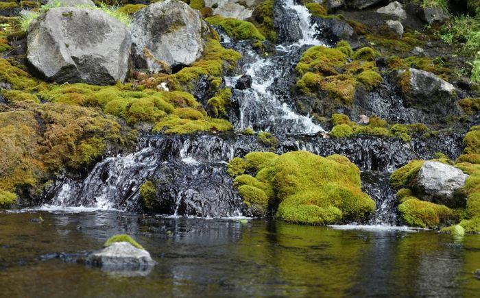【ペア】北海道十勝 オンネトー 湯の滝 ネイチャートレッキング バーベキュー ツアー 《足寄町》 【Slow Travel HOKKAIDO】 北海道旅行 旅行 夏休み 体験 アクティビティ ハイキング アウトドア 散歩 自然 植物 BBQ 滝[BEAY010]