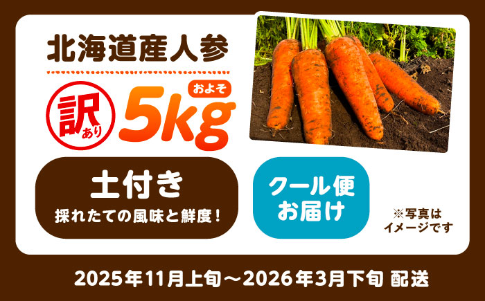 【訳あり】 北海道 にんじん 5kg （土付き）《足寄町》【えとりファーム】 [BEBA005]