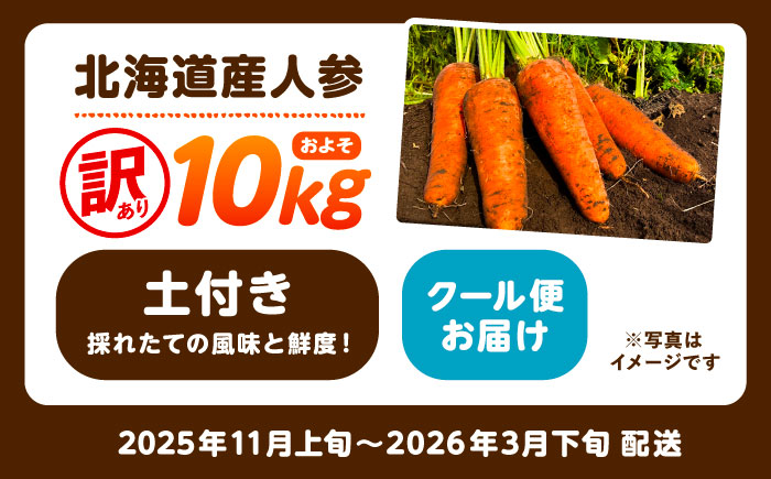 【訳あり】 北海道 にんじん 10kg （土付き）《足寄町》【えとりファーム】 [BEBA006]