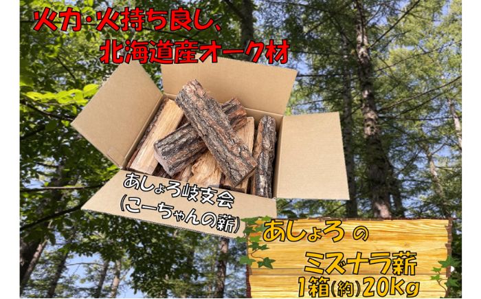 あしょろのミズナラ薪 約20kg《足寄町》【合同会社tetote】 [BEBD001]