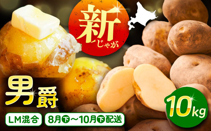 【先行予約】北海道産 じゃがいも 男爵 10kg（LM混合）《足寄町》【党崎農場】[BEAA006]