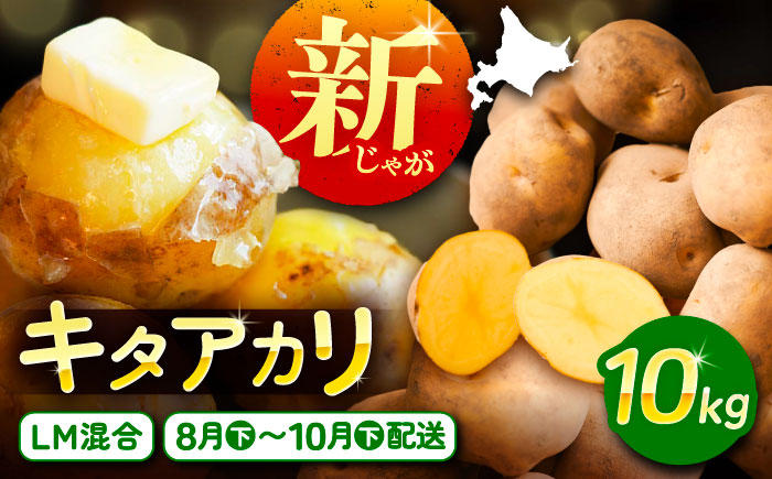 【先行予約】北海道産 じゃがいも きたあかり 10kg（LM混合）《足寄町》【党崎農場】[BEAA007]
