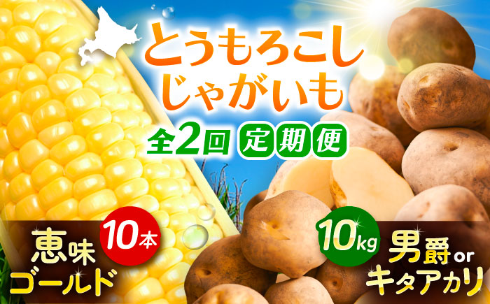 【全2回定期便】とうもろこし（10本）＆じゃがいも（10kg）《足寄町》【党崎農場】[BEAA008]