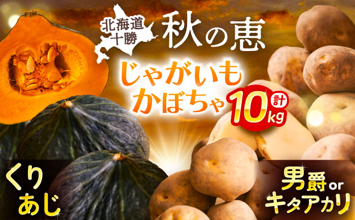 北海道産 じゃがいも＆かぼちゃ 計10kg（じゃがいも6-7kg・かぼちゃ3-4kg）《足寄町》【党崎農場】ジャガイモ じゃがいも 食べ比べ かぼちゃ 野菜 ポテト 芋 イモ いも ハロウィン あしょろ 北海道[BEAA009]