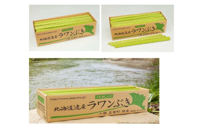 【先行予約】北海道足寄町産 生ラワンぶき 10kg【6月上旬以降発送】《足寄町》【足寄町農業協同組合】[BEAB013]