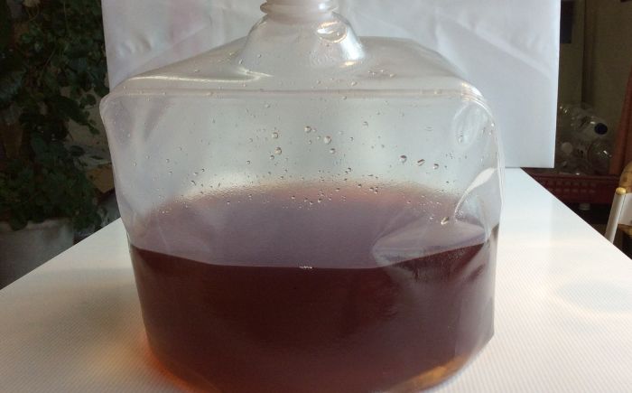 【酵素活性液】春夏秋冬 10L《足寄町》【足寄アグリバイオ株式会社】 肥料 [BEAC005]