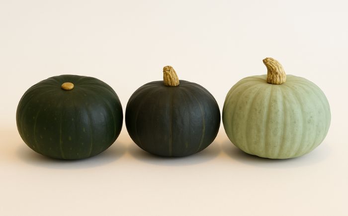 北海道 かぼちゃ ダークホース・とっておき・特濃こふき 3種類×1個 《足寄町》【足寄アグリバイオ株式会社】 [BEAC012]