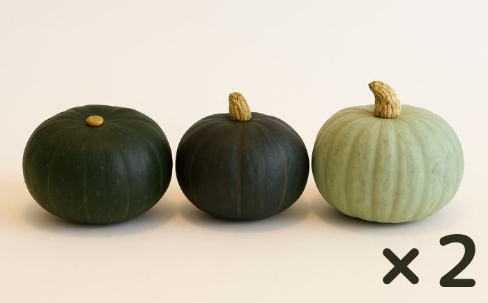 北海道 かぼちゃ ダークホース・とっておき・特濃こふき 3種類×2個 《足寄町》【足寄アグリバイオ株式会社】[BEAC013]