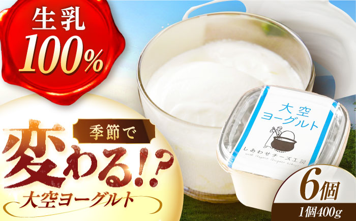 大空ヨーグルト 400g×6個《足寄町》【NPO法人あしょろ観光協会】 [BEAE005]