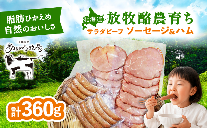 ＼TVで話題／サラダビーフ ソーセージ&ハムセット（ソーセージ100g×2袋・ボンレスハム80g×2袋）《足寄町》【ありがとう牧場】[BEAH007]