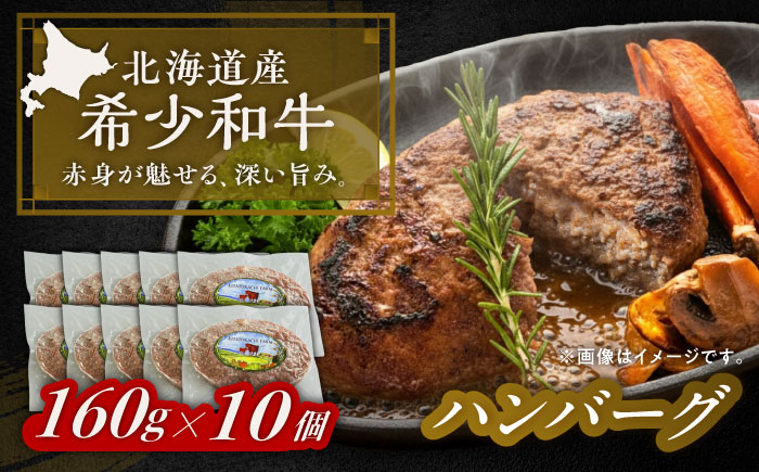 北海道 北十勝 短角牛 ハンバーグ 160g×10《足寄町》【北十勝ファーム有限会社】 [BEAI090] 160g×10パック