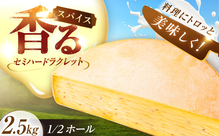 ＼TVで話題／北海道 スパイスラクレット 1/2ホール（2.5kg）《足寄町》【しあわせチーズ工房】 [BEAK033]