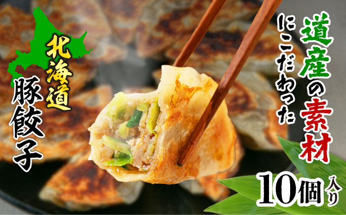 熊笹餃子 雫包(しずづつみ) 10個《足寄町》【株式会社北のささ】[BEAR013]