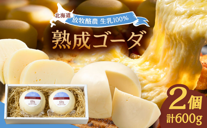 北海道 ゴーダチーズ 300g×2個《足寄町》【合同会社あしょろチーズ工房】 [BEAU001]