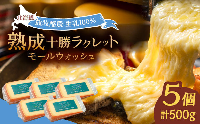 北海道 十勝ラクレット モールウォッシュ 100g×5個《足寄町》【合同会社あしょろチーズ工房】[BEAU004]