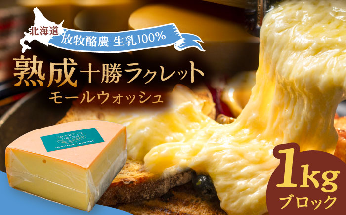 チーズ ラクレット 十勝川温泉 モールウォッシュ　ブロック（約1kg）《足寄町》【合同会社あしょろチーズ工房】[BEAU007]