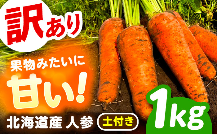 北海道 訳ありにんじん 1kg（土付き）《足寄町》【餌取農場】 [BEBA003]
