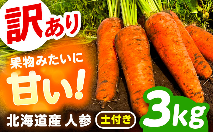 北海道 訳ありにんじん 3kg（土付き）《足寄町》【餌取農場】[BEBA004]