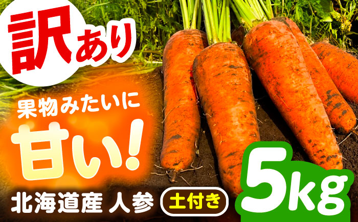 【訳あり】 北海道 にんじん 5kg （土付き）《足寄町》【えとりファーム】 [BEBA005]