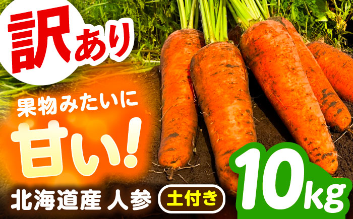 【訳あり】 北海道 にんじん 10kg （土付き）《足寄町》【えとりファーム】 [BEBA006]