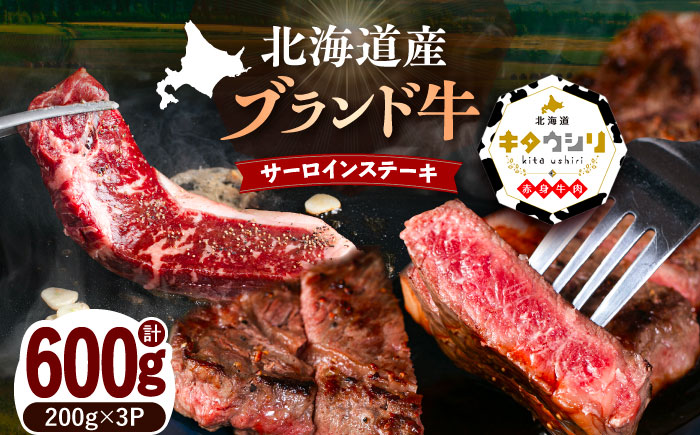 北海道産牛 サーロインステーキ 200g×3パック 《足寄町》 【北海道チクレンミート】 肉 牛肉 北海道産 [BEBJ001] 600g（200g × 3枚）