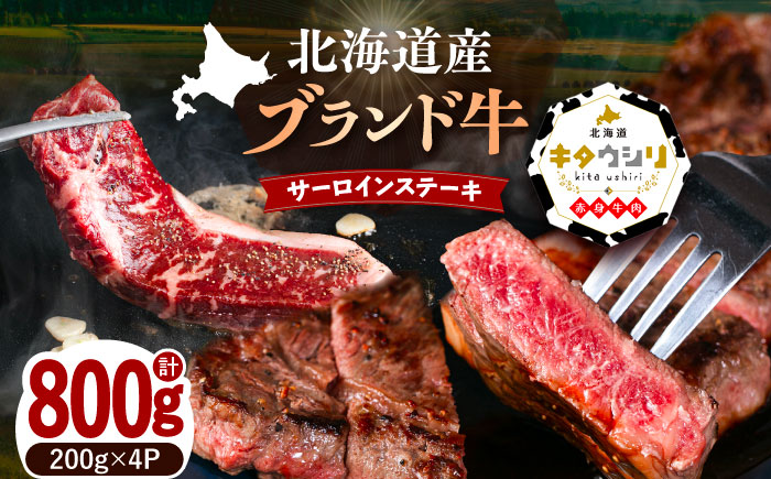 北海道産牛 サーロインステーキ 200g×4パック 《足寄町》 【北海道チクレンミート】 肉 牛肉 北海道産 [BEBJ002] 800g（200g × 4枚）