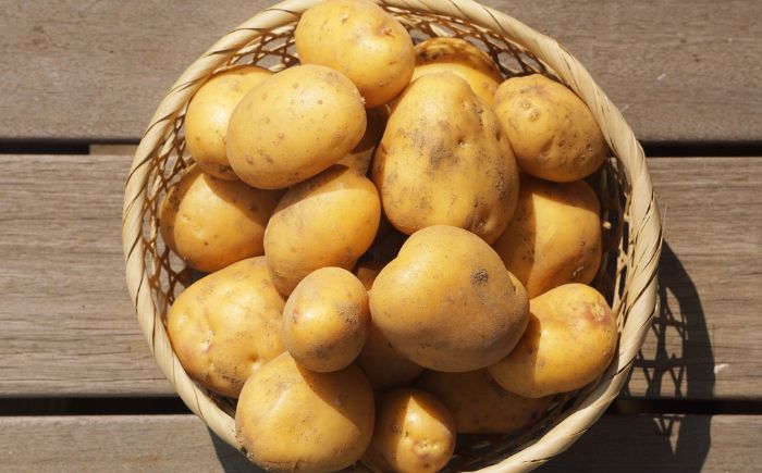 北海道産 じゃがいも ゆめいころ 10kg 《足寄町》【北海道エア・ウォーター・アグリ株式会社】 [BEBO001]