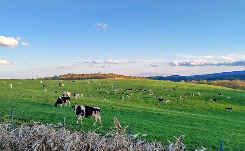 北海道陸別町 寄附のみの応援受付 1,000円コース（返礼品なし 寄附のみ 1000円）