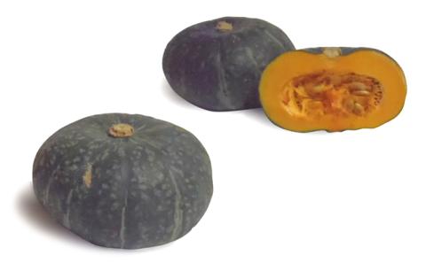 北海道陸別産えびす南瓜10kg：(残留農薬試験結果添付)