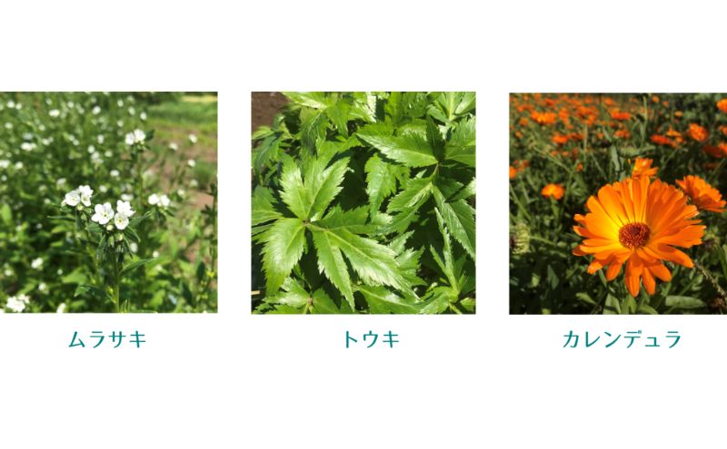 りくべつのやすらぎ3点セット（ハンドクリーム190g＆トドマツ精油＆アカエゾマツ精油）北海道 陸別町